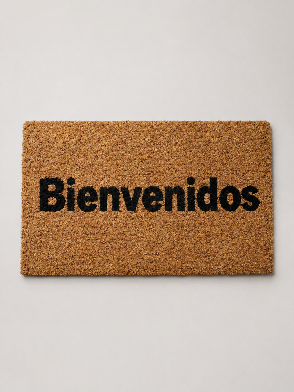 Felpudo Bienvenidos Negro - MADRITERA